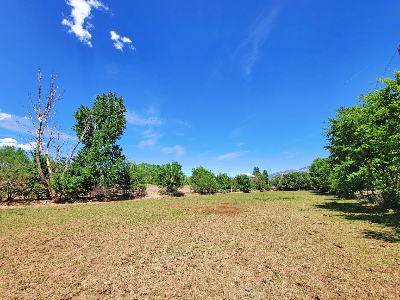 Corrales New Mexico Real Estate, Things to Do, Dining